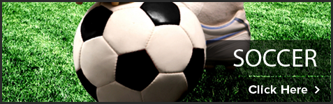 Reemaxe group - Sport Balls